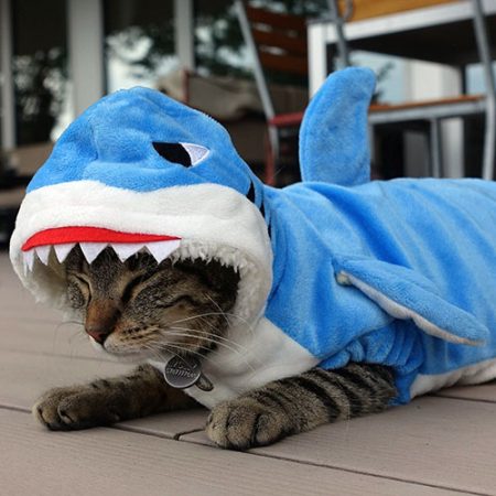 Katzenkostüm Hai