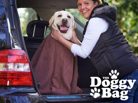 Geschenk für Hundebesitzer: Trocken-Sack