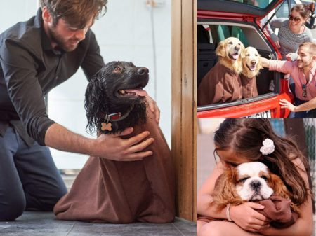 Geschenk für Hundebesitzer: Trocken-Sack