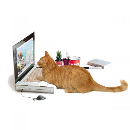 Katzen Kratzbaum Laptop