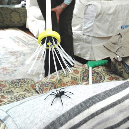 Spidercatcher Spinnenfänger