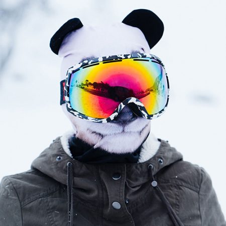 Sturmmaske Panda - Sturmhauben zu Weihnachten verschenken