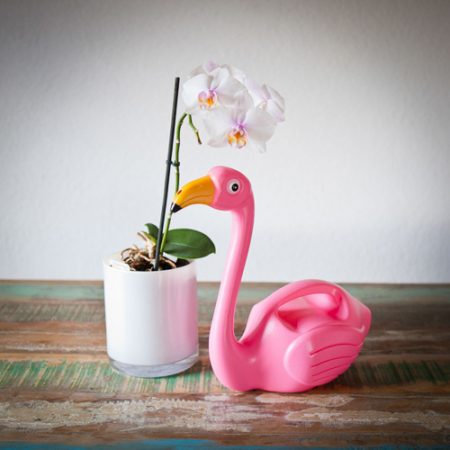 Flamingo Gießkanne - Geschenk für Blumen Liebhaber