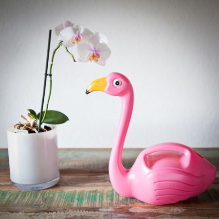 Flamingo Gießkanne - Geschenk für Blumen Liebhaber